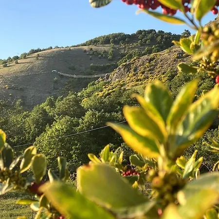 Terra Del Sasso Country-house *
