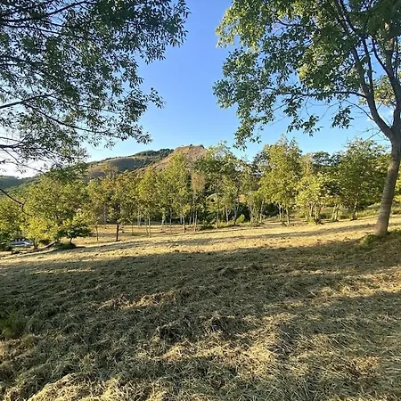 Terra Del Sasso Country-house Villa *